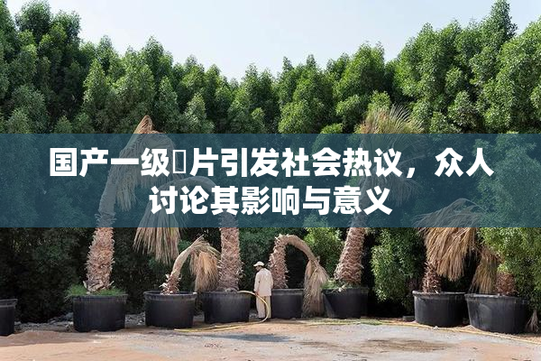 国产一级婬片引发社会热议，众人讨论其影响与意义