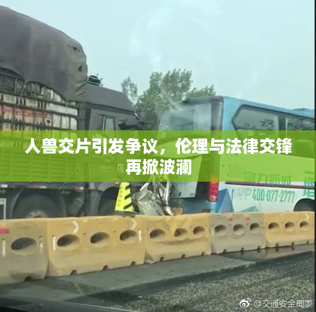 人兽交片引发争议，伦理与法律交锋再掀波澜