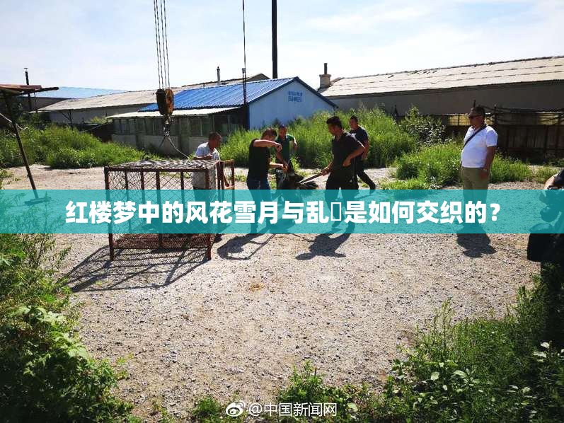 红楼梦中的风花雪月与乱婬是如何交织的？