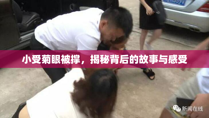 小受菊眼被撑，揭秘背后的故事与感受