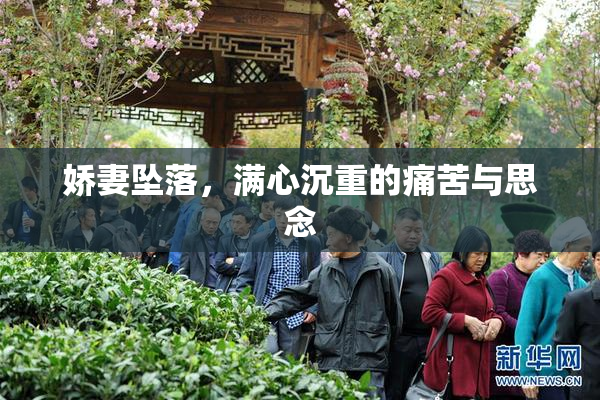 娇妻坠落，满心沉重的痛苦与思念