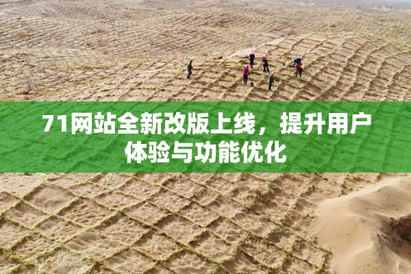 71网站全新改版上线，提升用户体验与功能优化