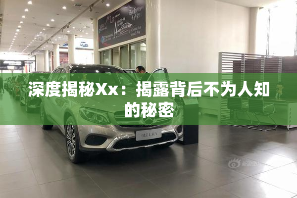深度揭秘Xx：揭露背后不为人知的秘密