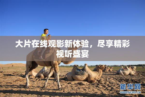 大片在线观影新体验，尽享精彩视听盛宴