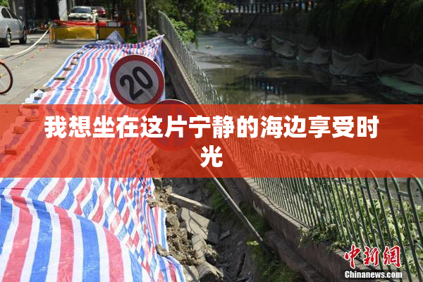 我想坐在这片宁静的海边享受时光
