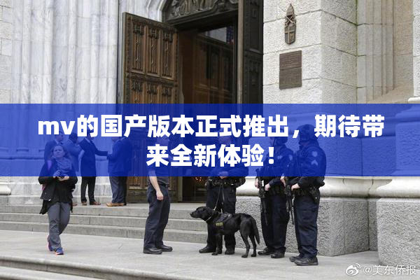 mv的国产版本正式推出，期待带来全新体验！