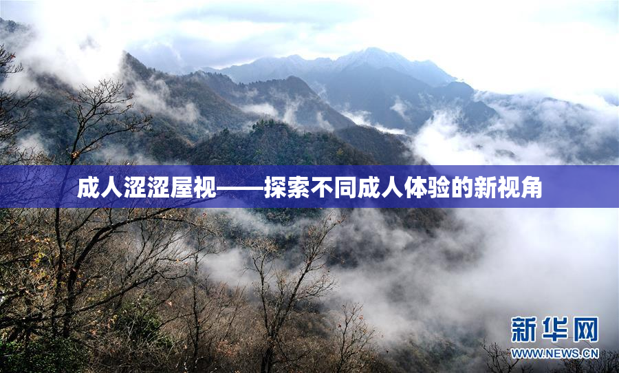成人涩涩屋视——探索不同成人体验的新视角
