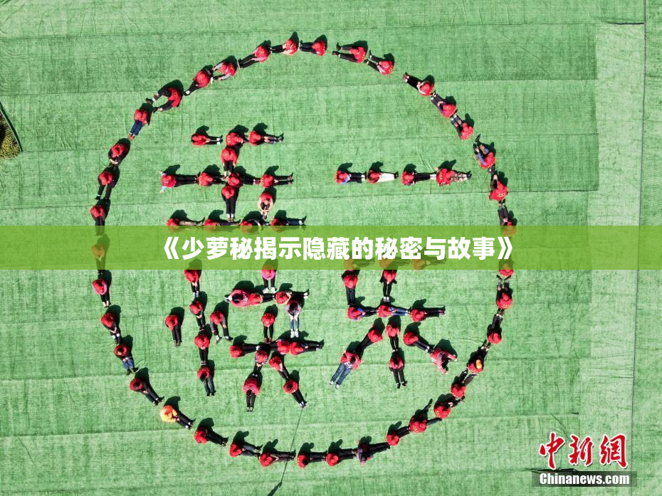 《少萝秘揭示隐藏的秘密与故事》