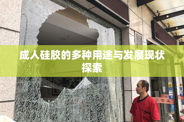 成人硅胶的多种用途与发展现状探索
