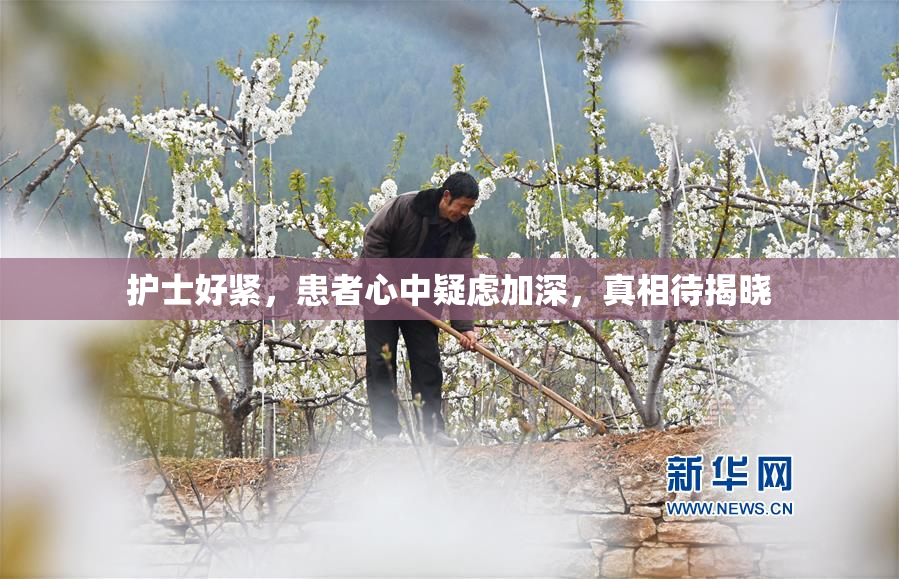 护士好紧，患者心中疑虑加深，真相待揭晓