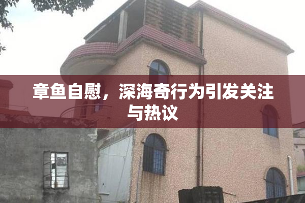 章鱼自慰，深海奇行为引发关注与热议