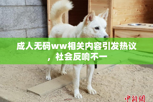 成人无码ww相关内容引发热议，社会反响不一
