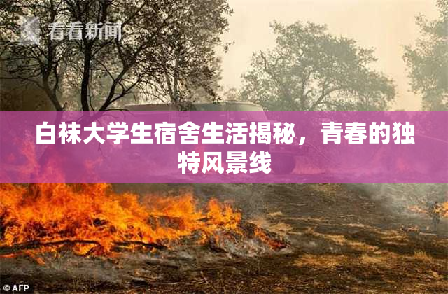 白袜大学生宿舍生活揭秘，青春的独特风景线