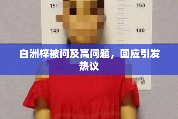 白洲梓被问及高问题，回应引发热议