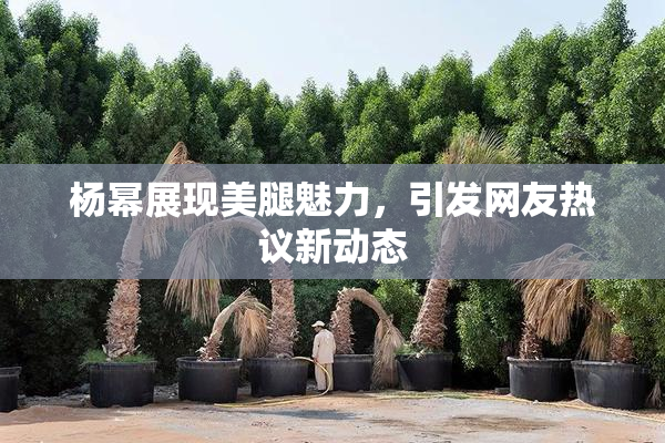 杨幂展现美腿魅力，引发网友热议新动态