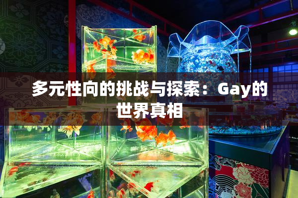 多元性向的挑战与探索：Gay的世界真相