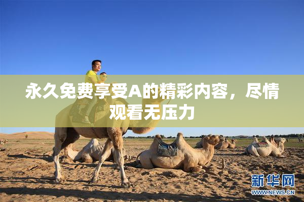 永久免费享受A的精彩内容，尽情观看无压力