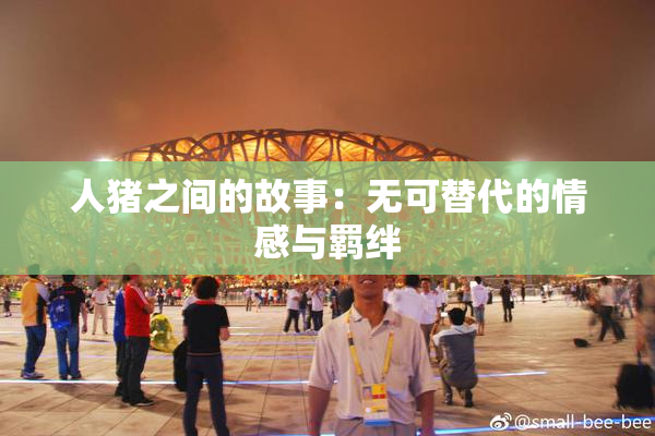 人猪之间的故事：无可替代的情感与羁绊