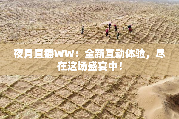 夜月直播WW：全新互动体验，尽在这场盛宴中！
