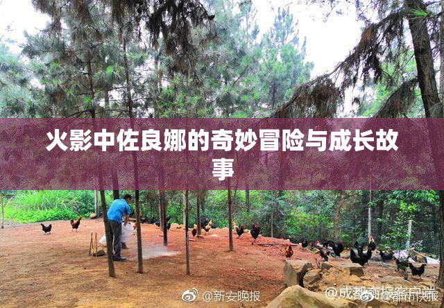 火影中佐良娜的奇妙冒险与成长故事