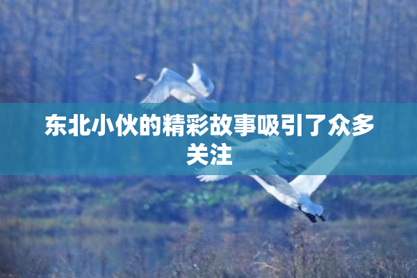 东北小伙的精彩故事吸引了众多关注
