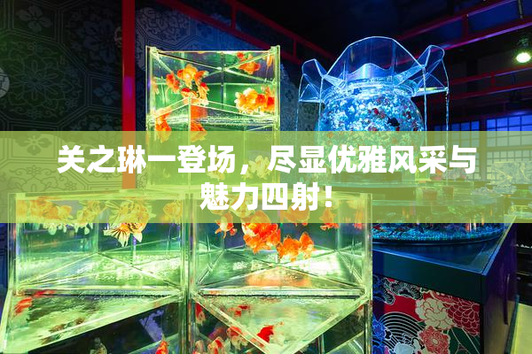 关之琳一登场，尽显优雅风采与魅力四射！