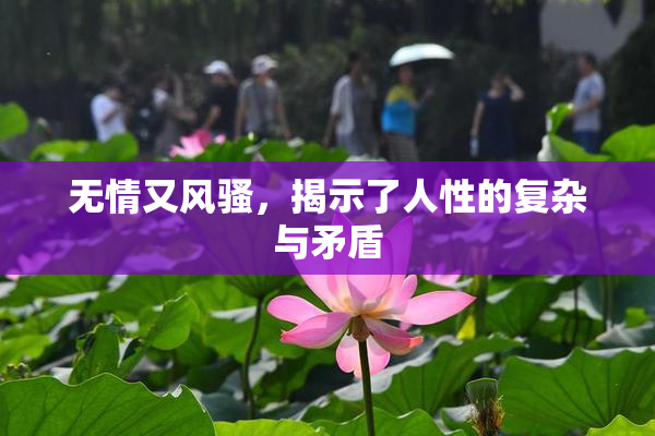 无情又风骚，揭示了人性的复杂与矛盾