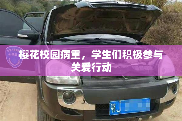 樱花校园病重，学生们积极参与关爱行动