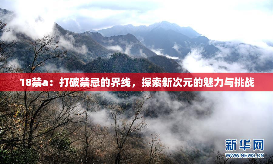 18禁a：打破禁忌的界线，探索新次元的魅力与挑战