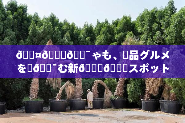 🖤🌃🔯ゃも、絶品グルメを楽🔯む新👅🍑スポット登場！