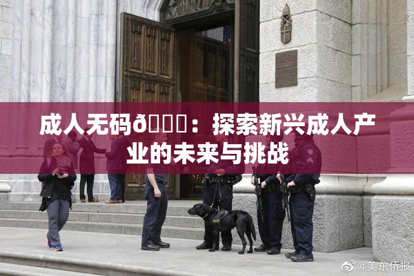 成人无码🔞：探索新兴成人产业的未来与挑战