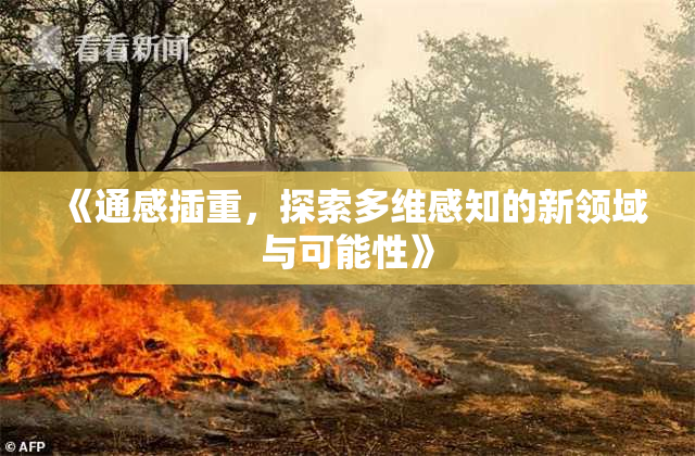 《通感插重，探索多维感知的新领域与可能性》