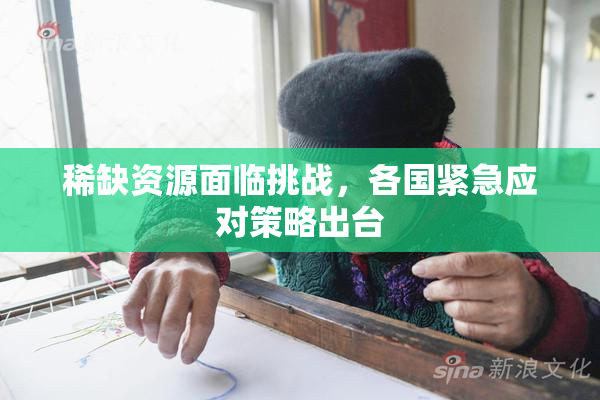 稀缺资源面临挑战，各国紧急应对策略出台