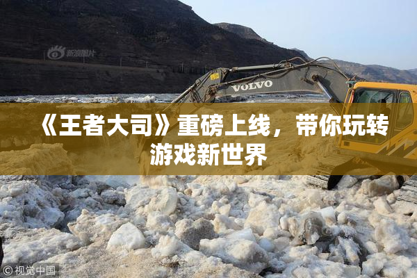 《王者大司》重磅上线，带你玩转游戏新世界