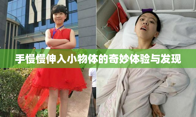 手慢慢伸入小物体的奇妙体验与发现