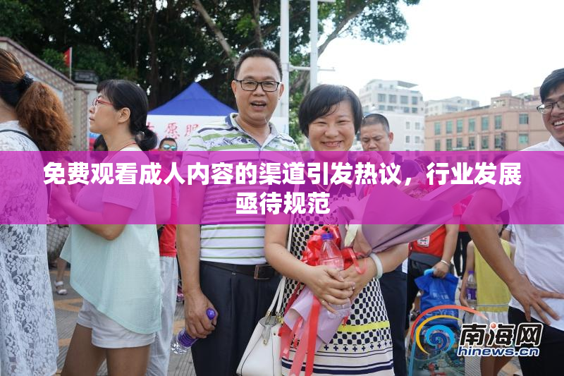 免费观看成人内容的渠道引发热议，行业发展亟待规范