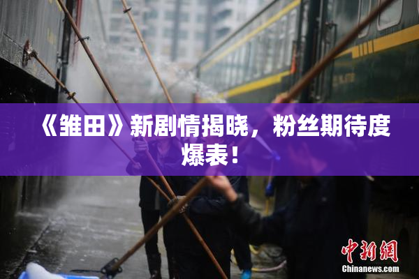 《雏田》新剧情揭晓，粉丝期待度爆表！