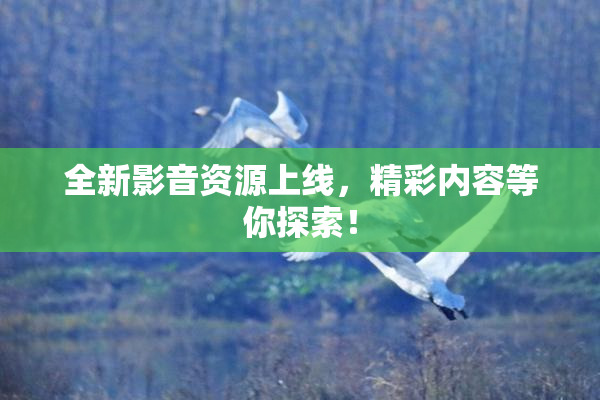 全新影音资源上线，精彩内容等你探索！