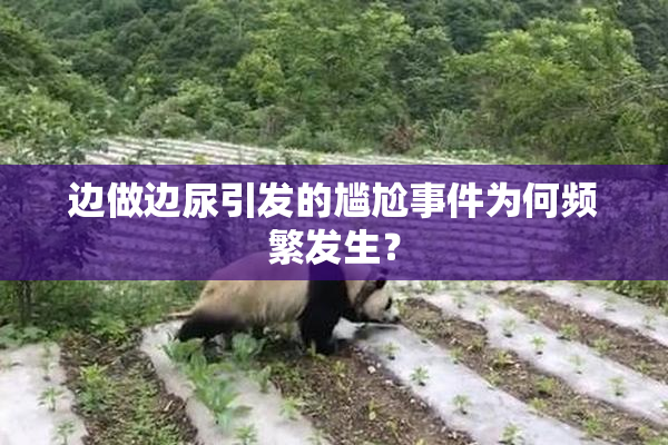 边做边尿引发的尴尬事件为何频繁发生？