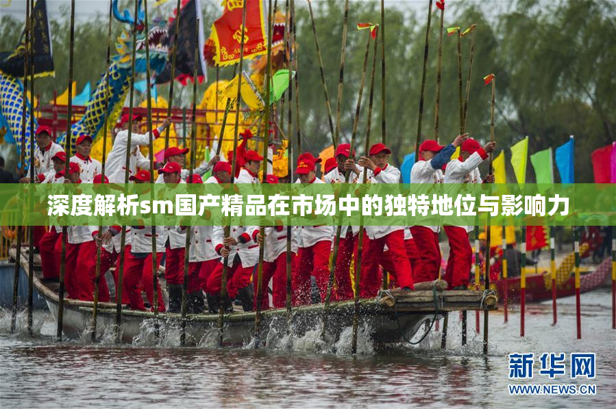 深度解析sm国产精品在市场中的独特地位与影响力