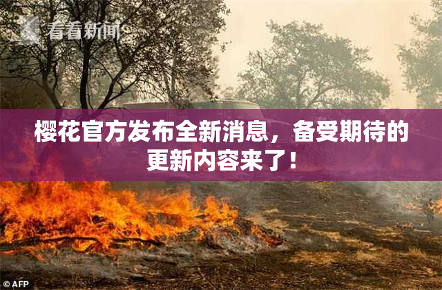 樱花官方发布全新消息，备受期待的更新内容来了！