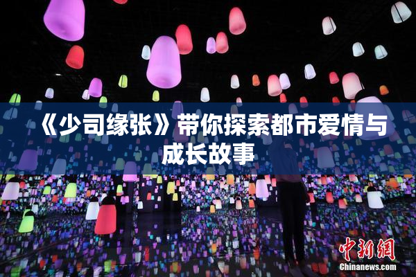 《少司缘张》带你探索都市爱情与成长故事