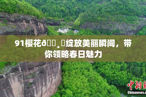 91樱花🌸‌绽放美丽瞬间，带你领略春日魅力