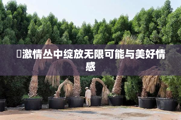 巜激情丛中绽放无限可能与美好情感