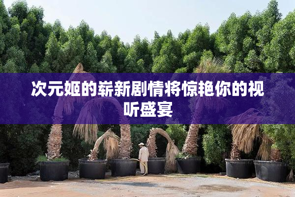 次元姬的崭新剧情将惊艳你的视听盛宴