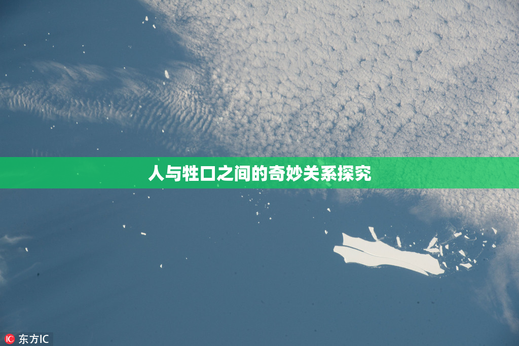 人与牲口之间的奇妙关系探究