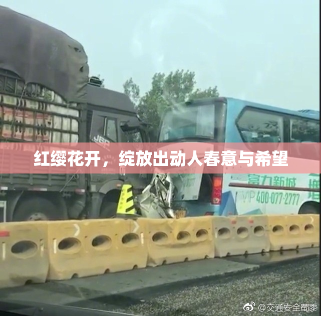 红缨花开，绽放出动人春意与希望