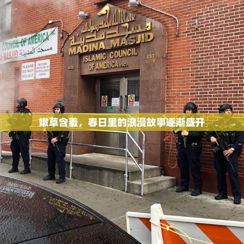 嫩草含羞，春日里的浪漫故事逐渐盛开