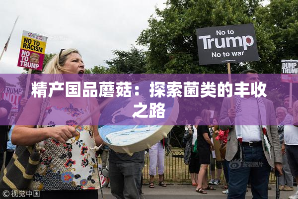 精产国品蘑菇：探索菌类的丰收之路