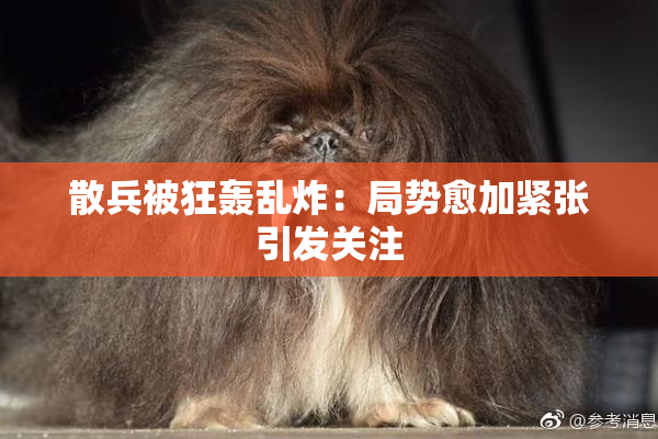 散兵被狂轰乱炸：局势愈加紧张引发关注